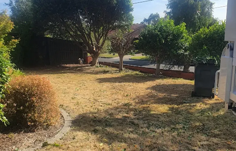 A tidy front yard with lawn, shrubs and trees after a clean-up
